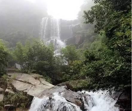 今明两天阴雨持续 这些高速路段受雨雾影响能见度低