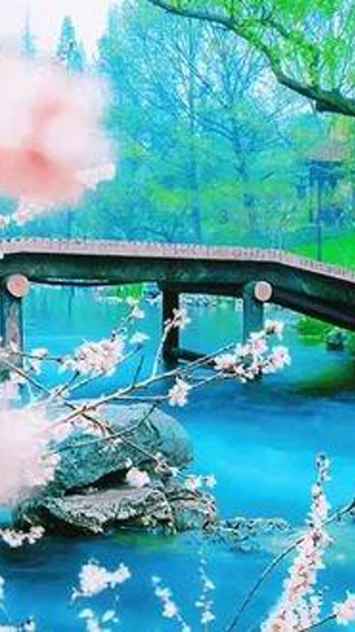 应对寒潮天气 梁山统筹协调保障群众菜篮子米袋子